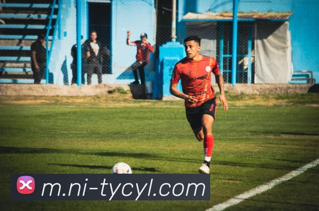 太阳城娱乐平台生态图