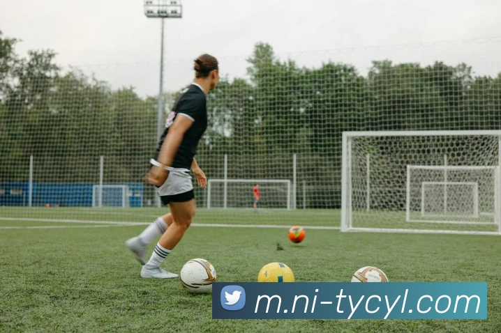 太阳城娱乐APP 封面图